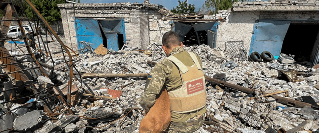 War zone saving dogs
