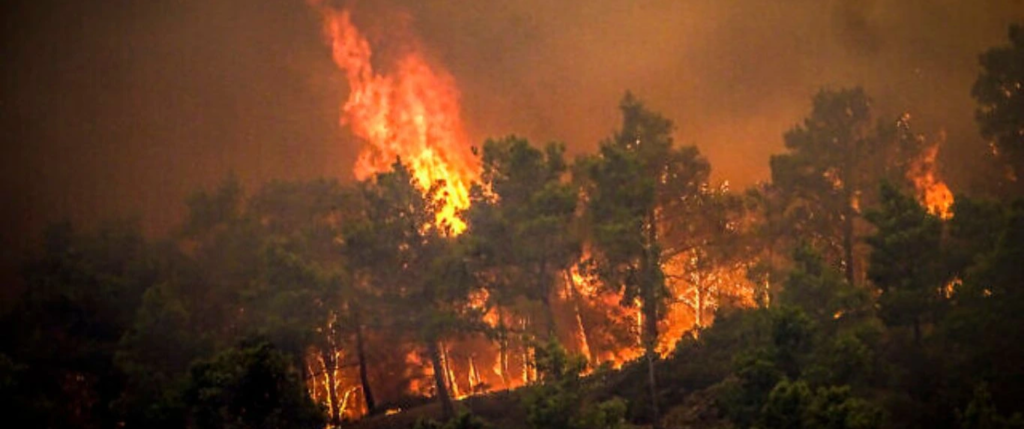 Wild fires raging