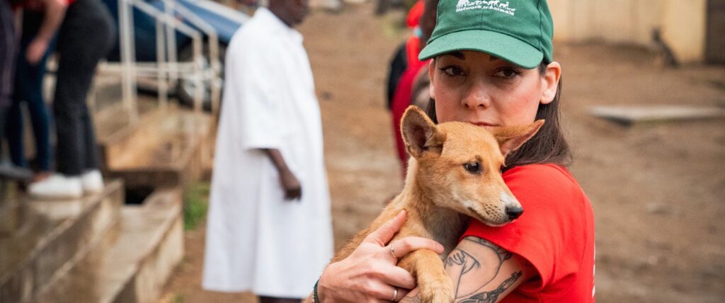 NFA Dog rescue