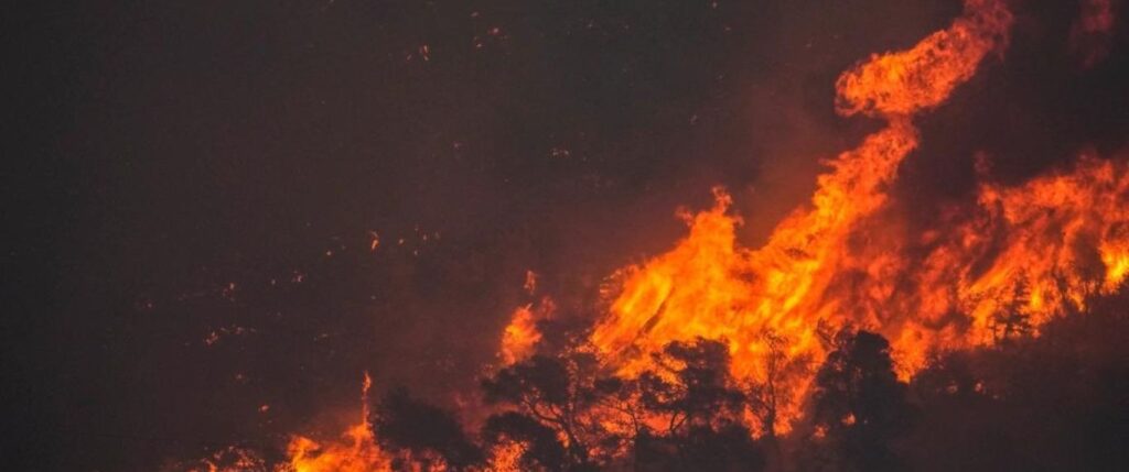 Wild fire raging