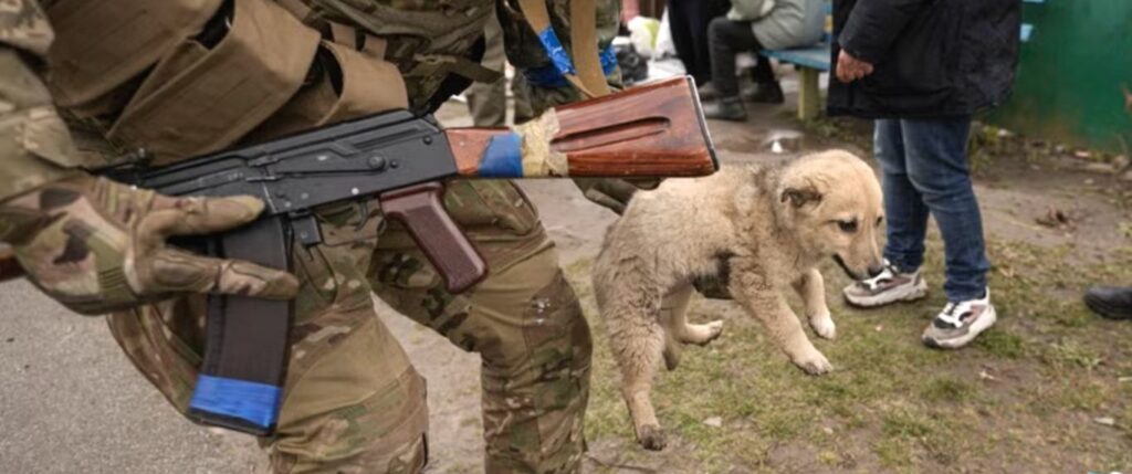 Saving puppy in war zone