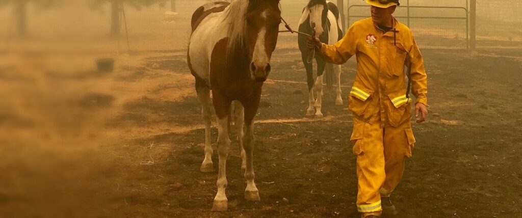 California wildfire 2020