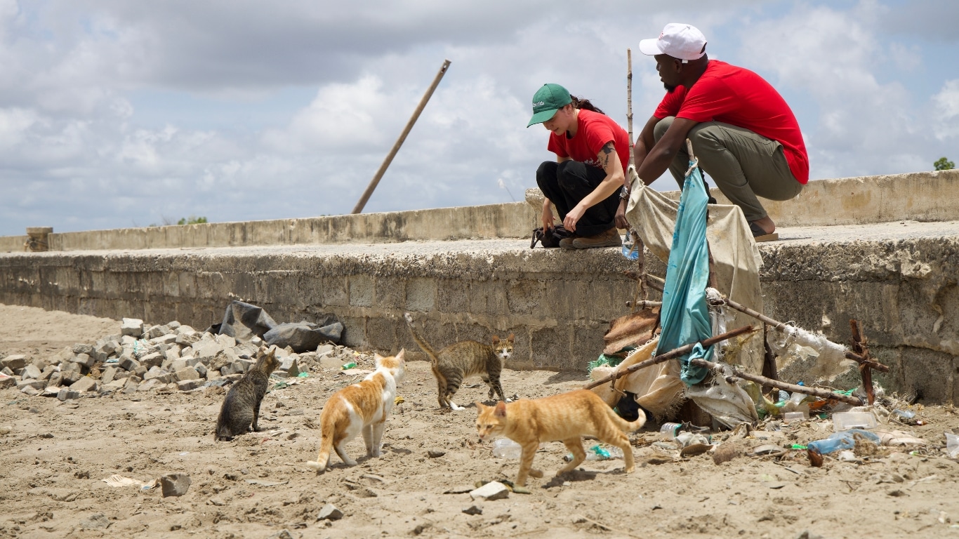 Banner credit NFA Byron Seale 3