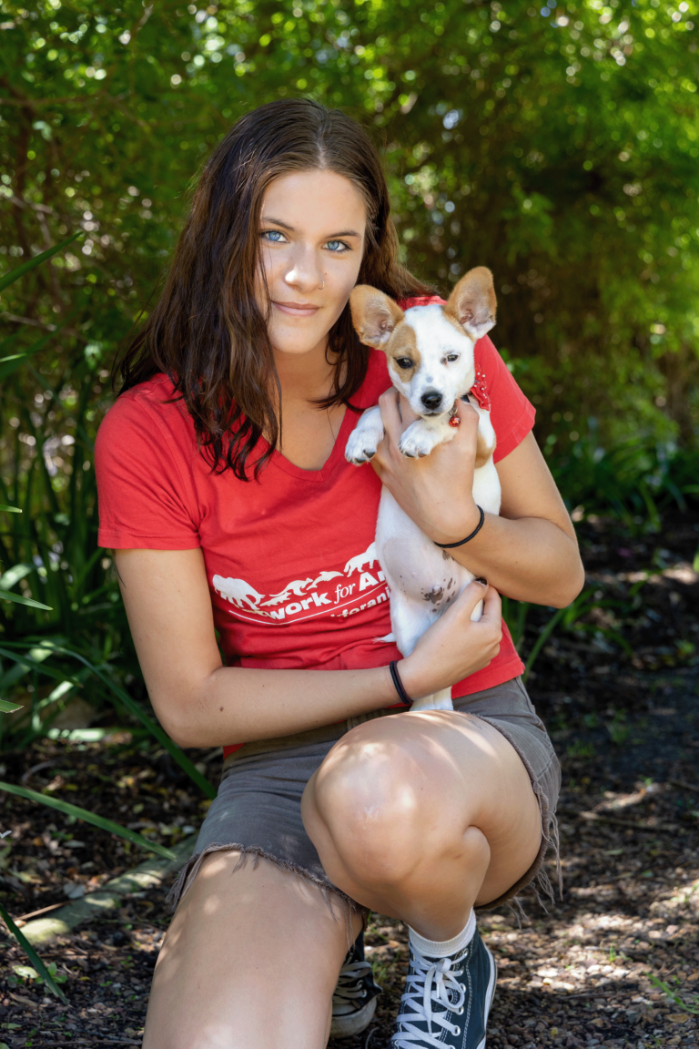 Meet our team | Network for Animals
