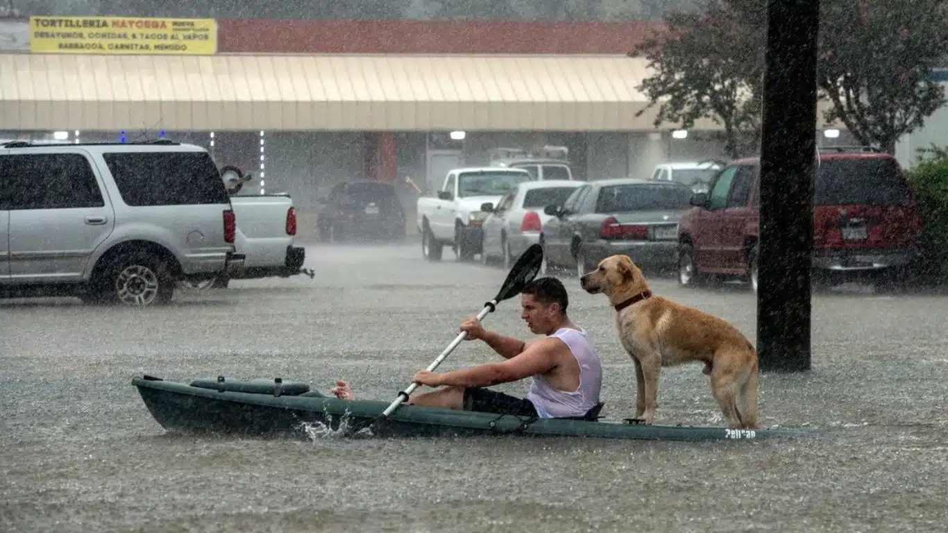 Man kayaking through the flood with a dog