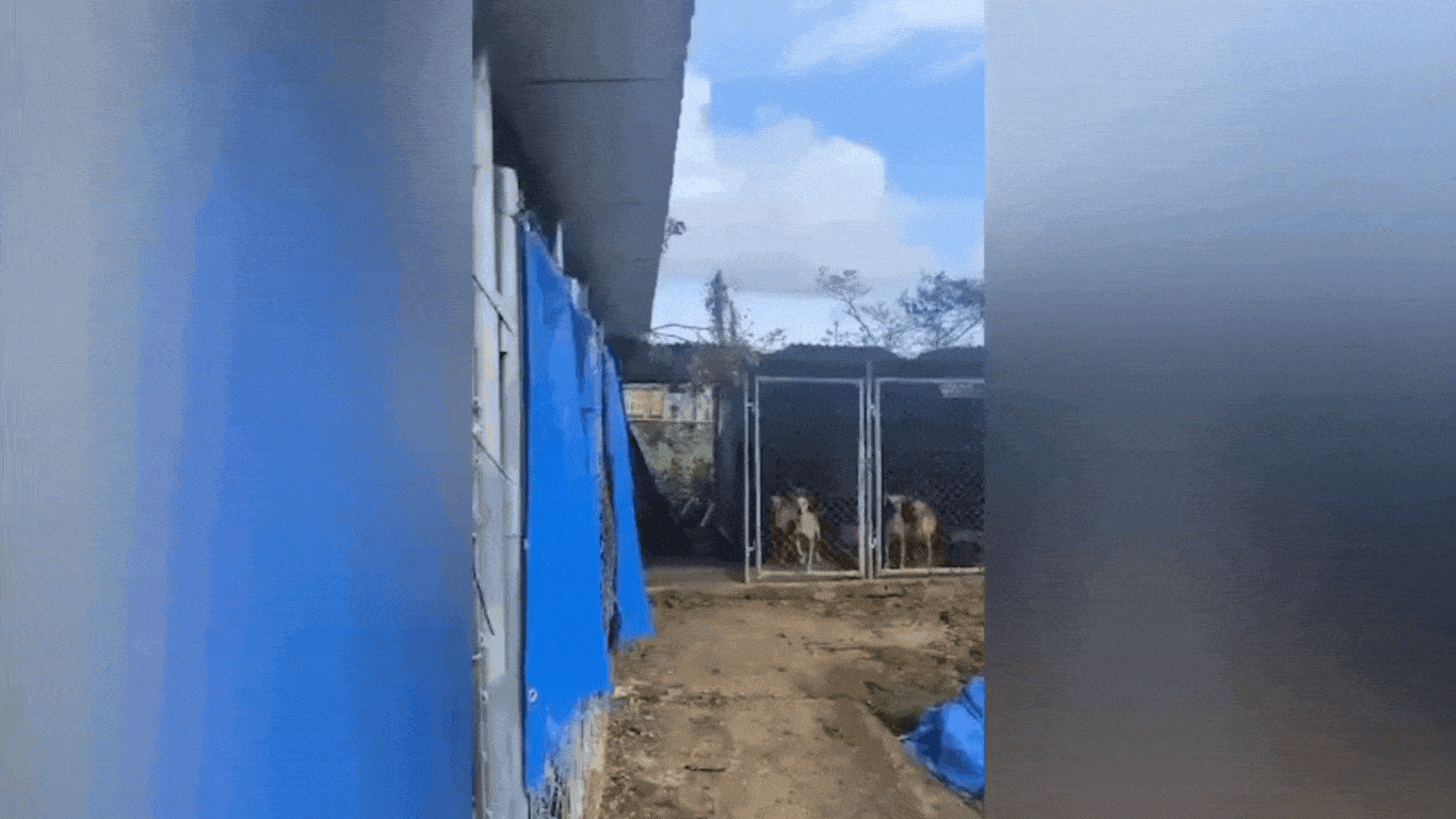 destroyed Negril Shelter