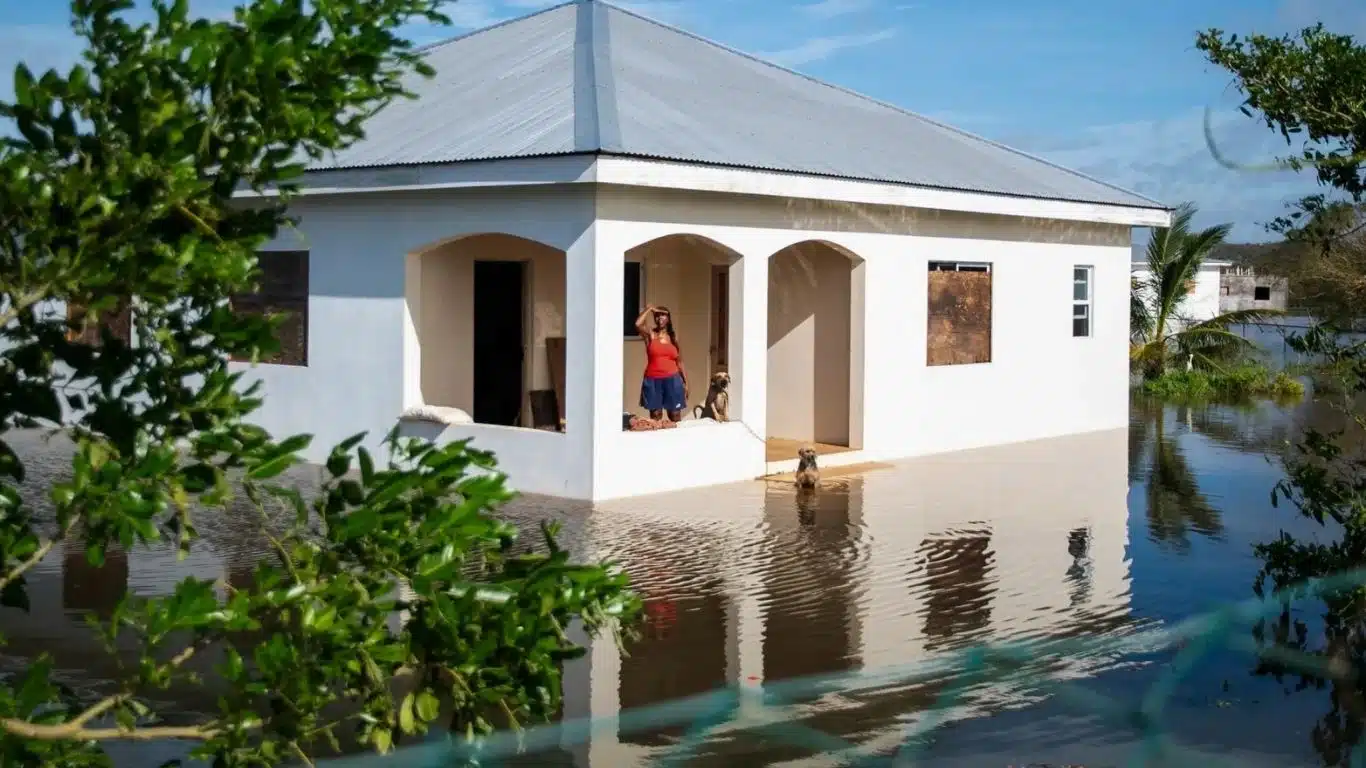 Image1 House with dogs surrounded by water Credit Abbie Townsend
