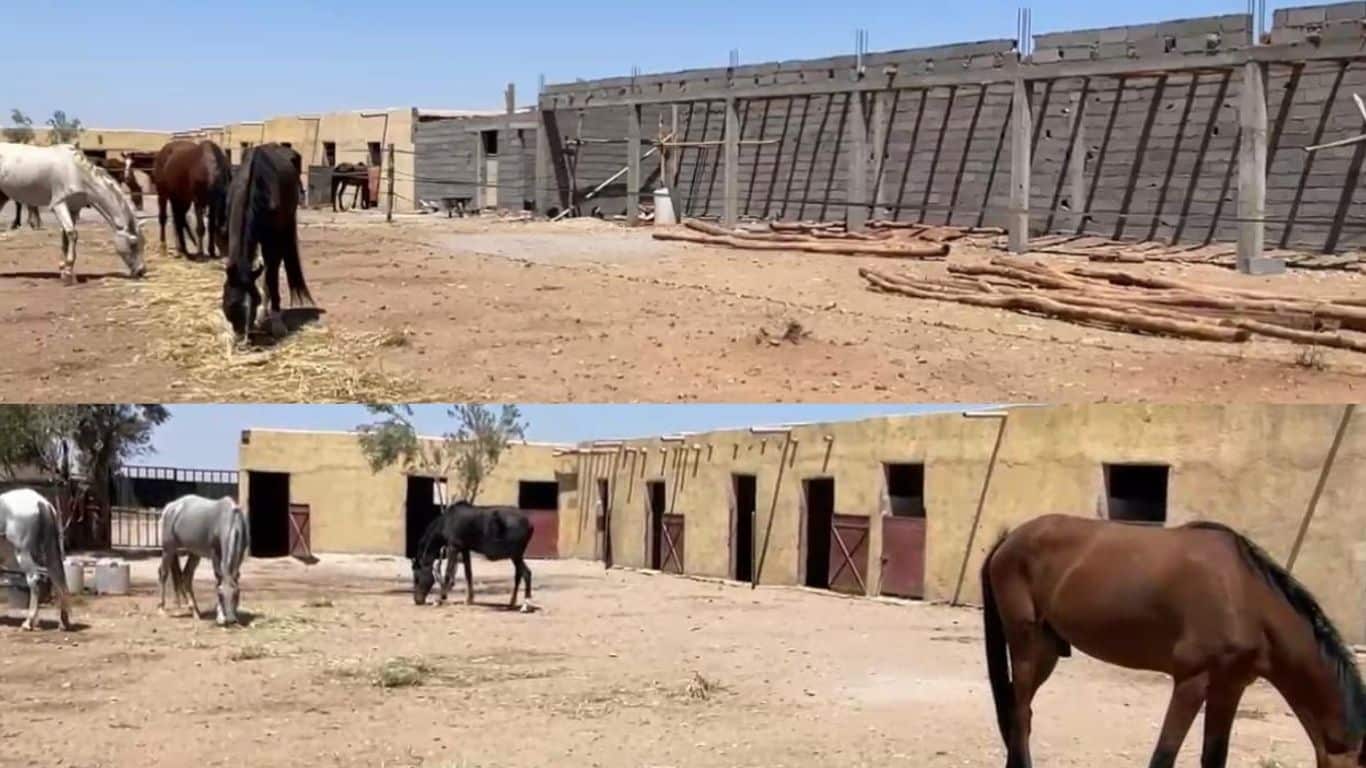 Image3 Stables before and after credit Jarjeer Image3 Stables before and after credit Jarjeer