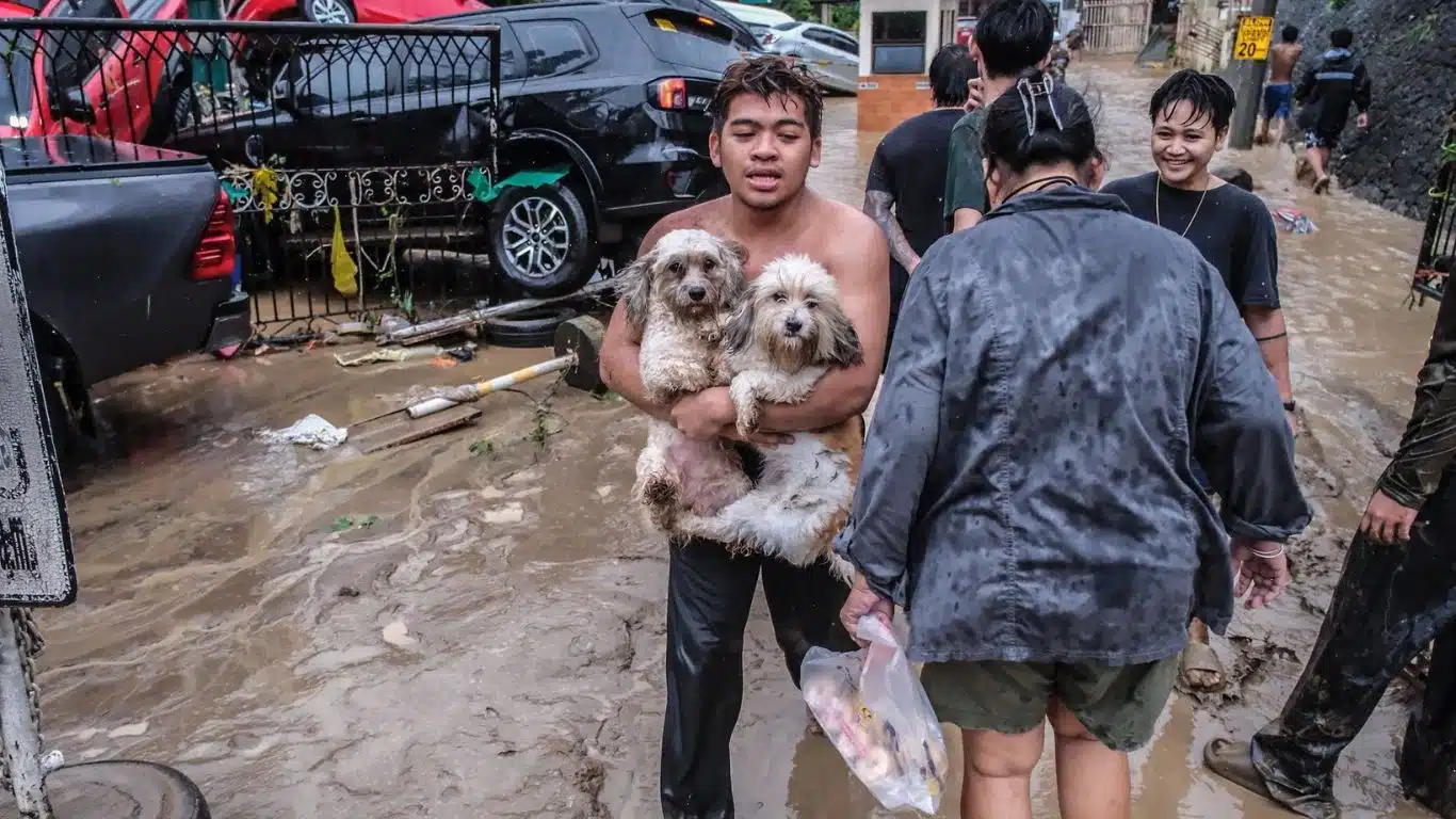 Image4 Man carrying two dogs Credit Juan Carlo De Vela