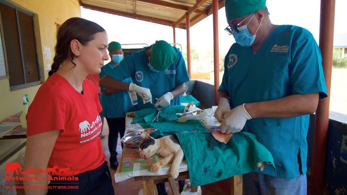 Image4 Shannon with vet and cats NFA Byron Seale Image4 Shannon with vet and cats NFA Byron Seale