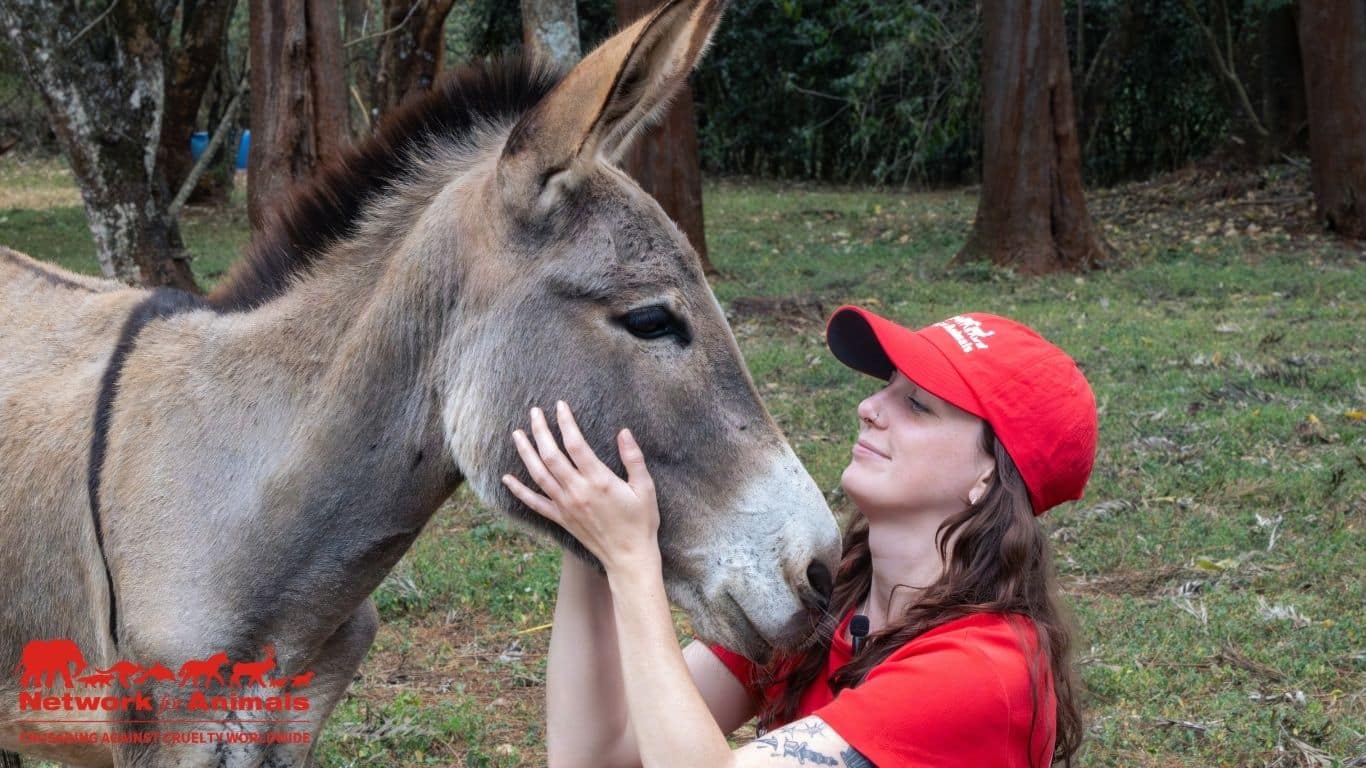 Image8 Shannon Edwards with donkey credit NFA Byron Seale Image8 Shannon Edwards with donkey credit NFA Byron Seale